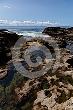 Botanical Beach, Port Renfrew, Vancouver Island, British Columbia, Canada