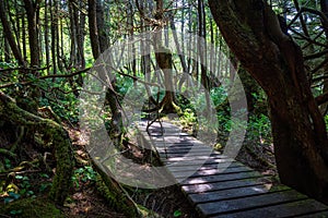 Botanical Beach, Port Renfrew, Vancouver Island, British Columbia, Canada