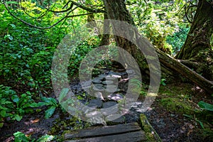 Botanical Beach, Port Renfrew, Vancouver Island, British Columbia, Canada