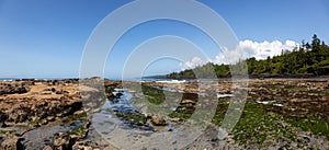 Botanical Beach, Port Renfrew, Vancouver Island, British Columbia, Canada