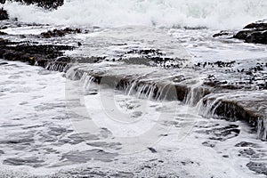 Botanical Beach Provincial Park, Port Renfrew, Vancouver Island, BC, Canada