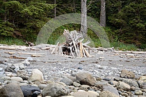 Botanical Beach Provincial Park, Port Renfrew, Vancouver Island, BC, Canada