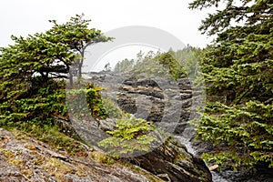 Botanical Beach Provincial Park, Port Renfrew, Vancouver Island, British Columbia Canada