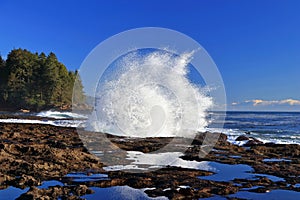 Botanical Beach with Spray of Breaking Wave on Sandstone Shelf with Tidal Pools, Vancouver Island, British Columbia