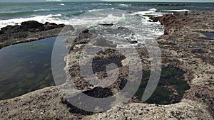 Botanical Beach Tide Pools 4K UHD