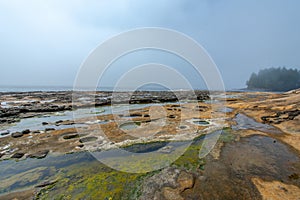 Botanical Beach - Vancouver Island