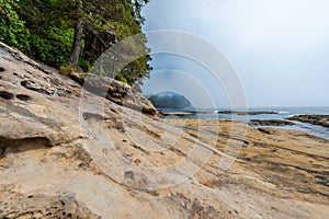 Botanical Beach - Vancouver Island