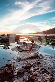 Botanical Beach on the West Coast of Pacific Ocean.