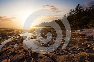 Botanical Beach on the West Coast of Pacific Ocean.