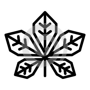 Botanical chestnut leaf icon, outline style