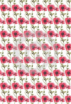 Botanical composition, seamless pattern of red transparent flowers and leaves. Watercolor pencil drawing. Poppies, on a