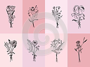 Botanical drawing. Minimal plant logo, meadow greenery, leaves and flowers abstract sketch collection, linear rustic