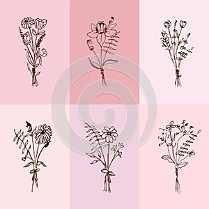 Botanical drawing. Minimal plant logo, meadow greenery, leaves and flowers abstract sketch collection, linear rustic