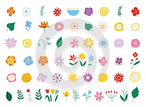 Botanical drawing. Various romantic flower and leaf illustrations. Vector illustration EPS 10.