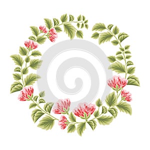 Botanical feminine frame with flower decorations for women, wedding invitation decoration, greeting card, spring, summer elements