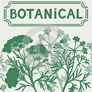 Botanico 