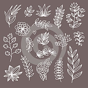 Botanical floral doodle design elements vector set
