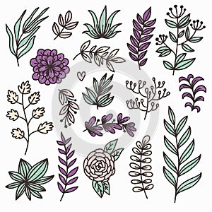 Botanical floral doodle design elements vector set