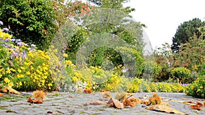 Botanical With Flower Garden During Summer And  Autumn