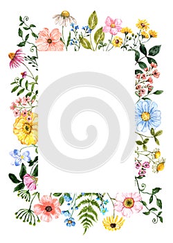 A botanical frame featuring watercolor hand-painted wildflowers and leaves on a white background