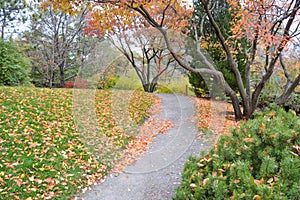 Botanical Garden