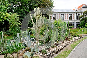 Botanical garden along Leopoldstraat in the city of Antwerpen, Belgium