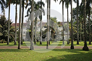 Botanical Garden in Bogor