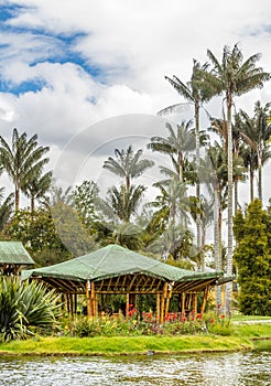 Botanical garden in Bogota, Colombia