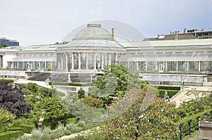 Botanical garden of Brussels