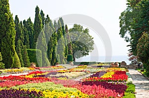 Botanical garden. Bulgaria