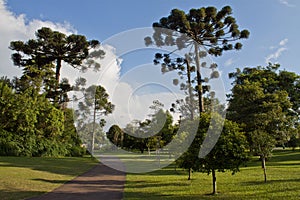 Botanical Garden, Curitiba, Brazil