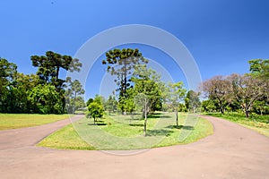 Botanical garden, Curitiba, Brazil