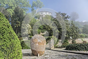 Botanical garden at dawn.