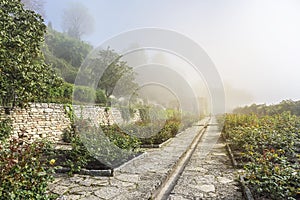 Botanical garden at dawn.