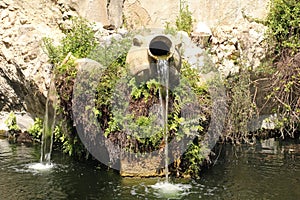 Water Feature in the Botanical Gardens photo