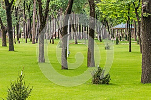 Botanical Garden in Dushanbe, capital of Tajikist