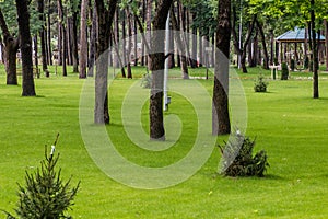 Botanical Garden in Dushanbe, capital of Tajikist