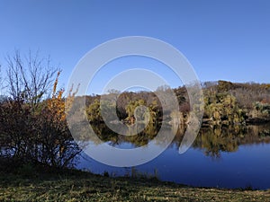 Botanical garden in the fall. Autumn nature. The hatching of plants in a pond. Scenery. Pond, sky with clouds, reeds and grass.