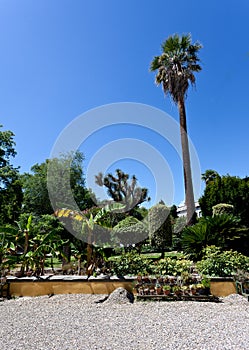 Botanical Garden, Florence, Firenze, Italy, Italia