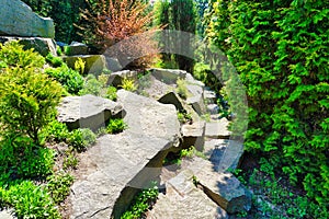 Botanical garden, footpath and rocks