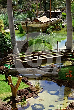 Botanical garden in Fuerteventura island