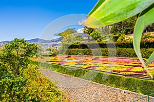 Botanical garden in Funchal