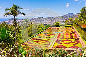 Botanical garden in Funchal