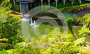 Botanical garden in Funchal