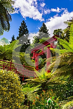 Botanical garden in Funchal