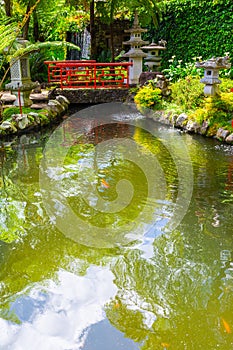 Botanical garden in Funchal