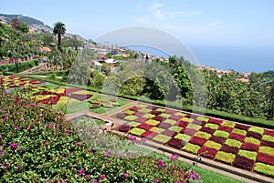 Botanical garden of Funchal in Madeira