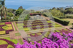 Botanical garden of Funchal, Madeira island, Portugal.