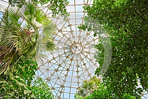 Botanical garden glass ceiling. Donetsk. Ukraine