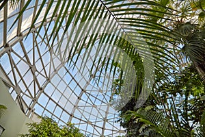 Botanical garden glass ceiling. Donetsk. Ukraine